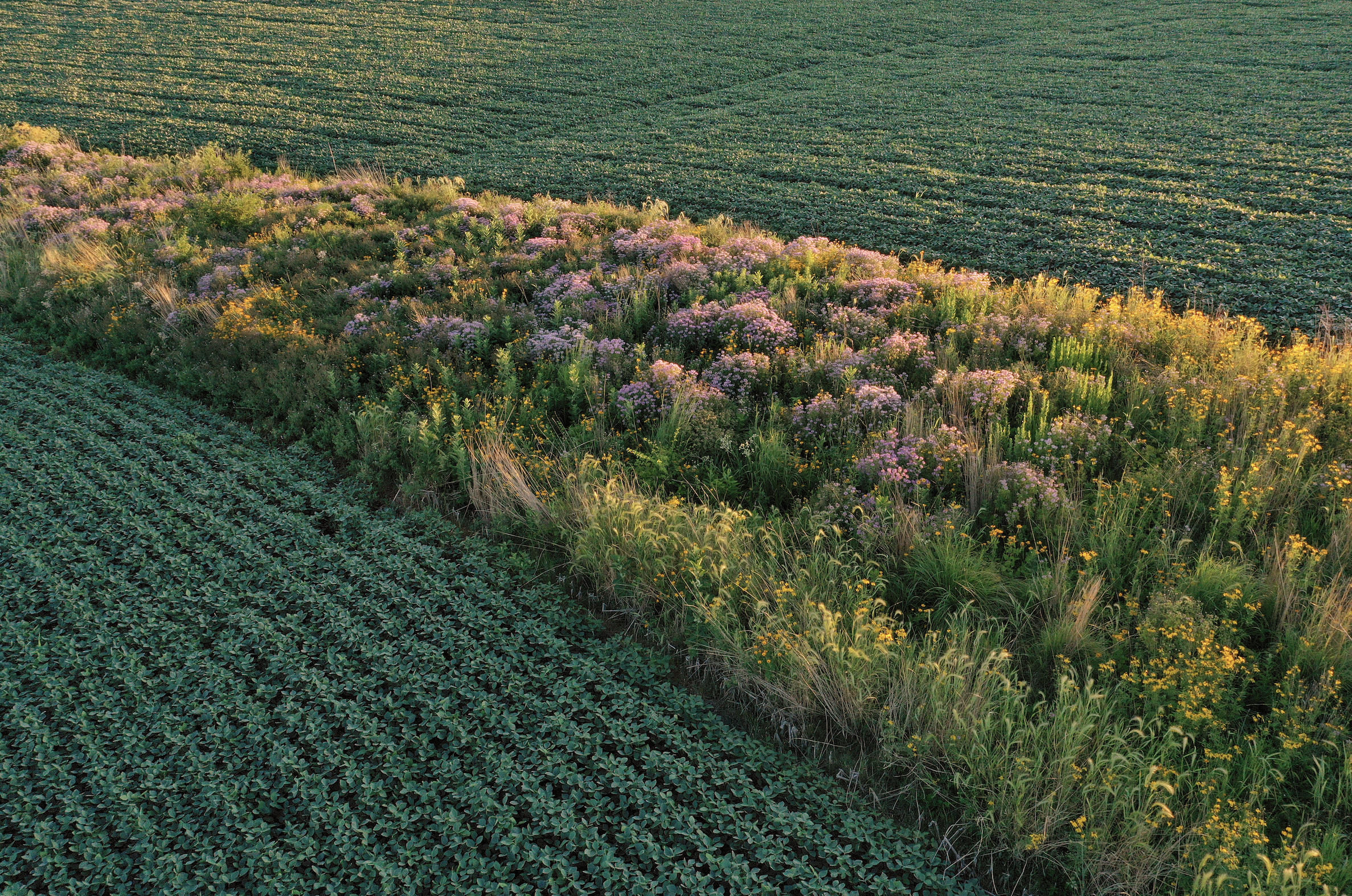 screen shot 2025 12 17 at 1.04.24 pm