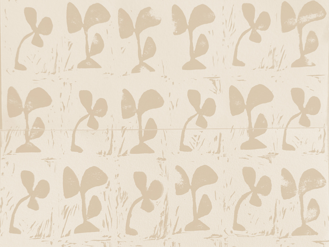 seed is story2 1774644638