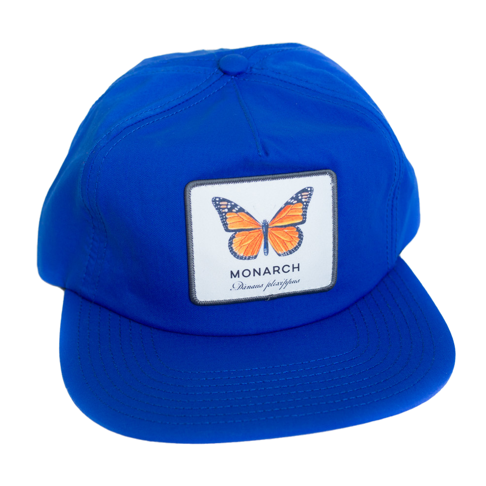 monarch blue 006