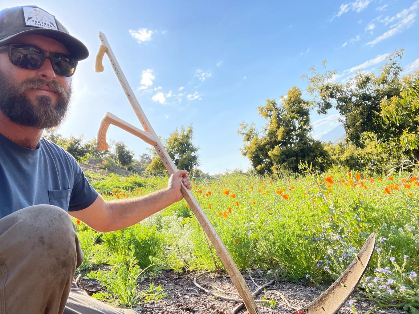 cover crop scythe