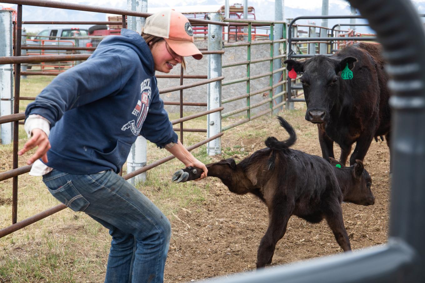 ranchingmentorship sanluisvalley cosun 06 03 2019 4