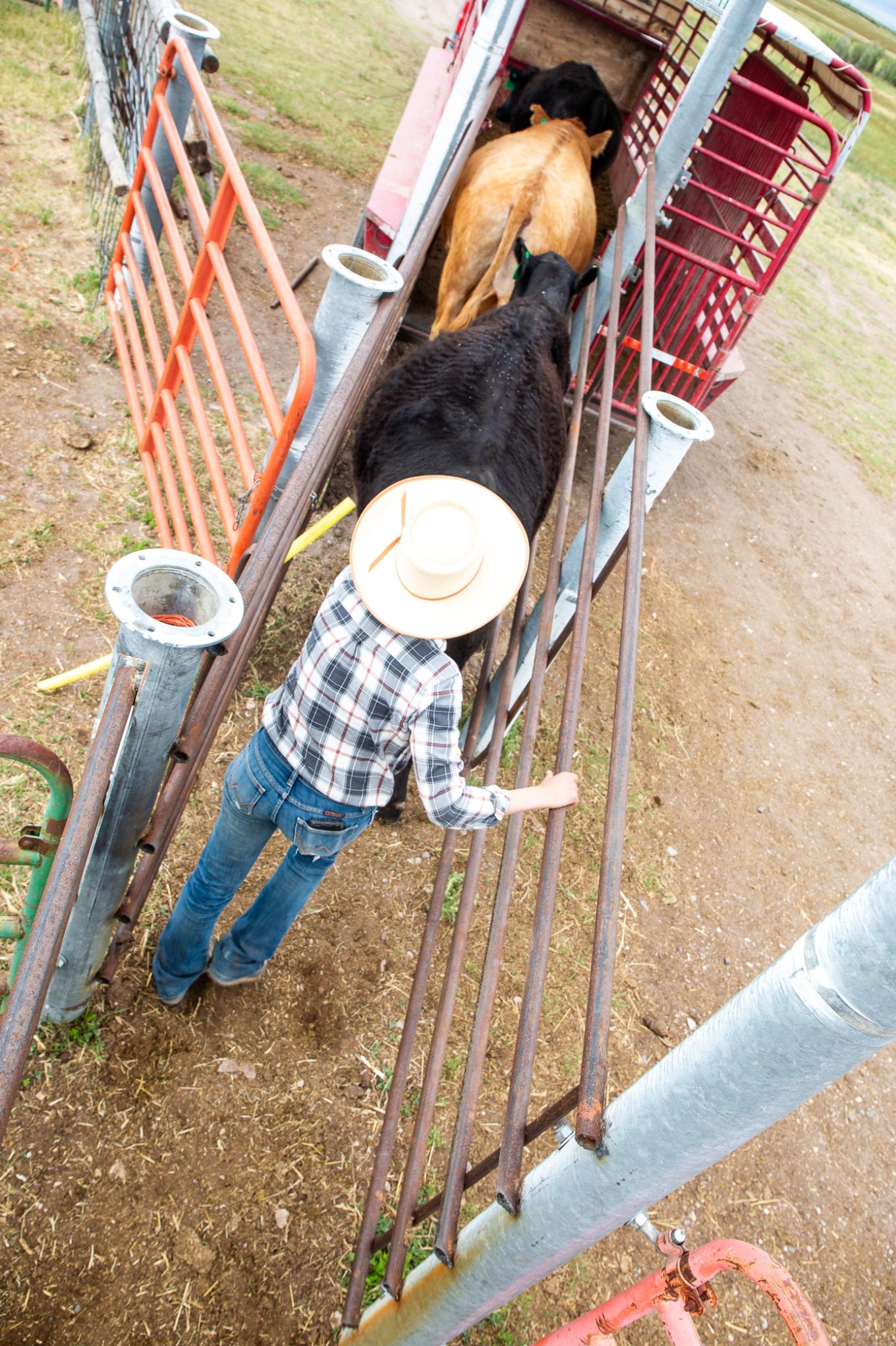 ranchingmentorship sanluisvalley cosun 06 03 2019 6