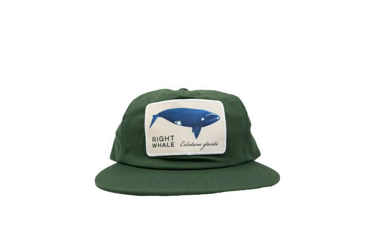whale_green_0102.png