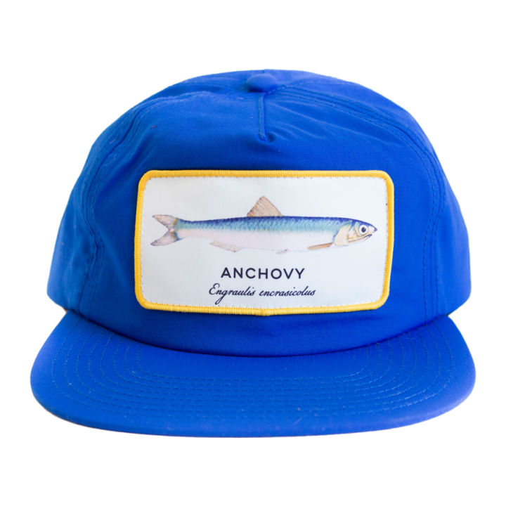 anchovy_blue_003.png